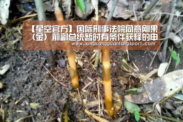 【星空官方】国际刑事法院同意刚果(金)前副总统暂时有条件获释的申请(图2) 星空平台
